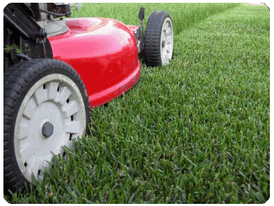 Every year Central Oregon homeowner's step out into their yards to ask that age old question of ...Should We or Shouldn't We? Should we remove the old lawn and replace it with a new one, or should we remove the old lawn and replace it with an eco-friendly, water-conserving, low maintenance naturescape, complete with a computer controlled drip system, and state-of-the-art irrigation management? So basically...it's Sod vs. Urban Ecology! Whichever you decide, we at Nelson Landscape Maintenance, believe the answer lies in one simple statement! Whether you the homeowner removes the lawn ( sod ) yourself, or whether you hire someone to do that backbreaking and time consuming job for you, the truth of the matter is this... someone is still going to have to remove the OLD lawn from the premises. And Nelson Landscape Maintenance can handle that project for you! In fact, we can not only remove the old lawn for you, but we can bring in the new lawn just as easy, and turn your yard into that lush green oasis you've been putting off for years now. Couple that with our state-of-the-art irrigation systems and you'll have a yard that rivals even the most well kept golf courses in town.