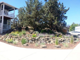 Nelson Landscaping