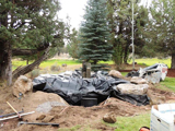 Nelson Landscaping